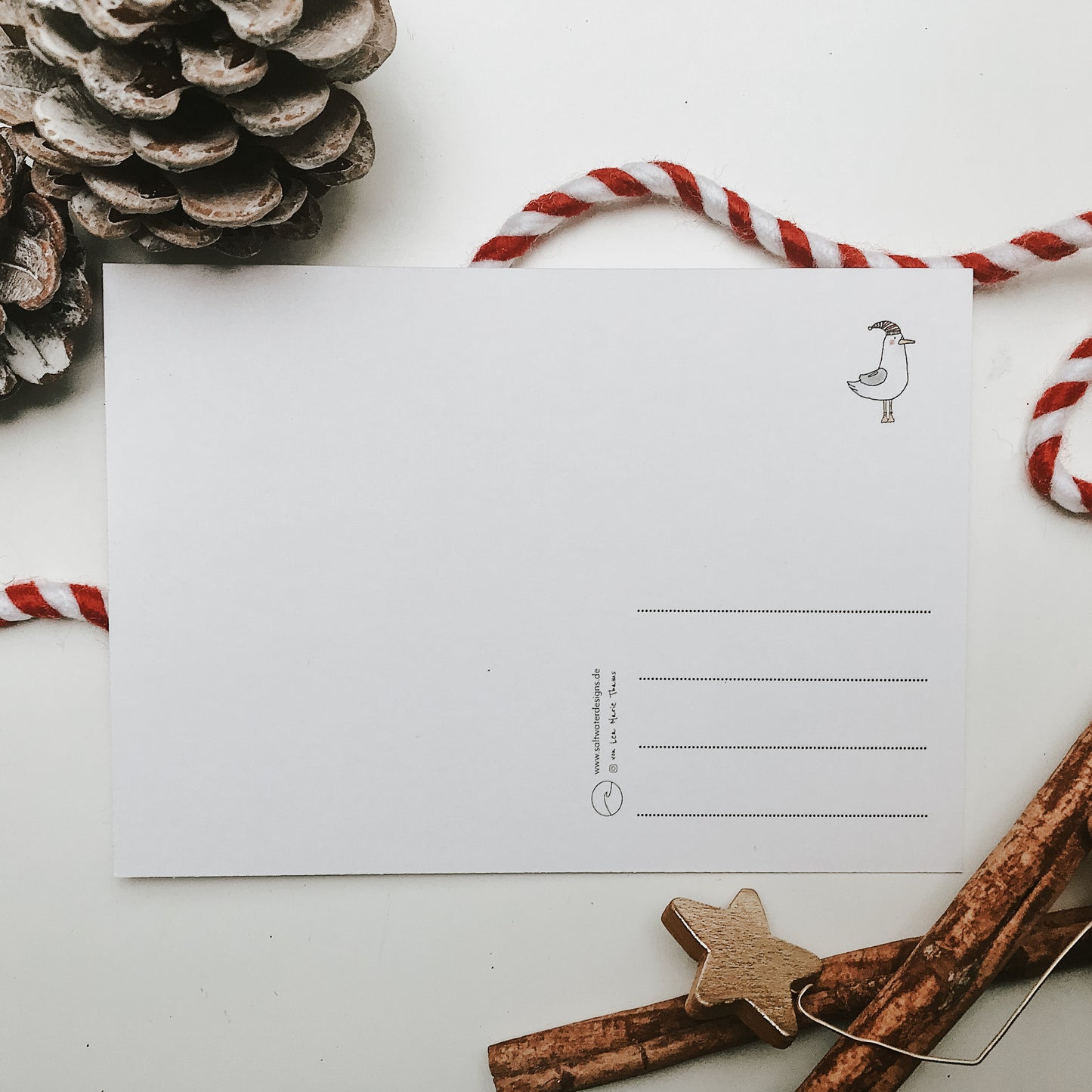 Rückseite einer Postkarte mit minimalistischem Design, auf der oben rechts eine kleine gezeichnete Möwe steht. Rechts befinden sich drei Linien für die Adresse. In der Mitte unten sind ein Logo, eine Webadresse und Social-Media-Icons abgedruckt. Die Karte liegt auf einer weißen Fläche, dekoriert mit Tannenzapfen, einer rot-weißen Schnur, Zimtstangen und einem kleinen Holzstern, was einen winterlich-weihnachtlichen Eindruck vermittelt.