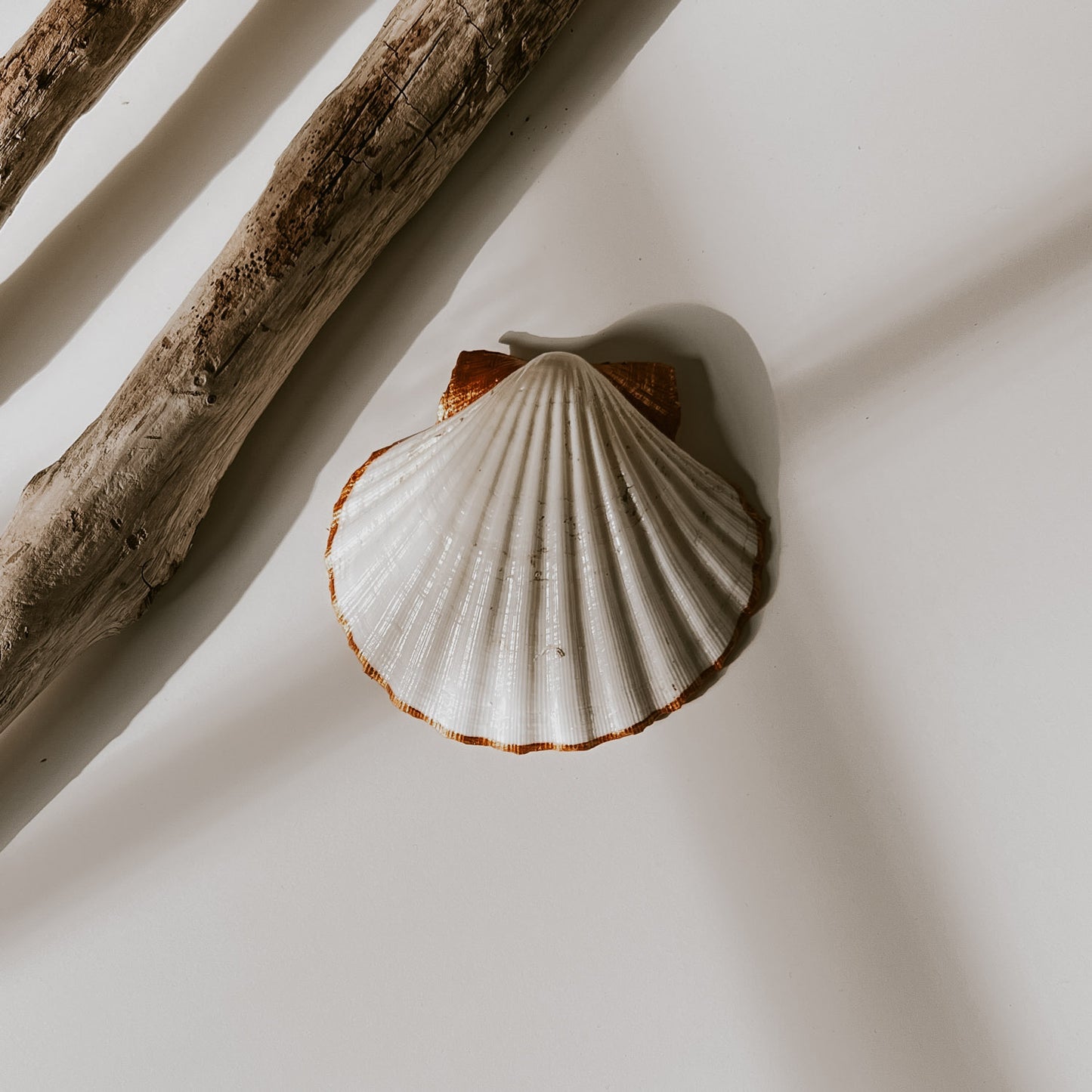 Rückseite der Blomma Schmuckschale, schlichtes weiß mit vergoldetem Rand und das Highlight ist, dass die beiden Kämme oben auch vergoldet sind.