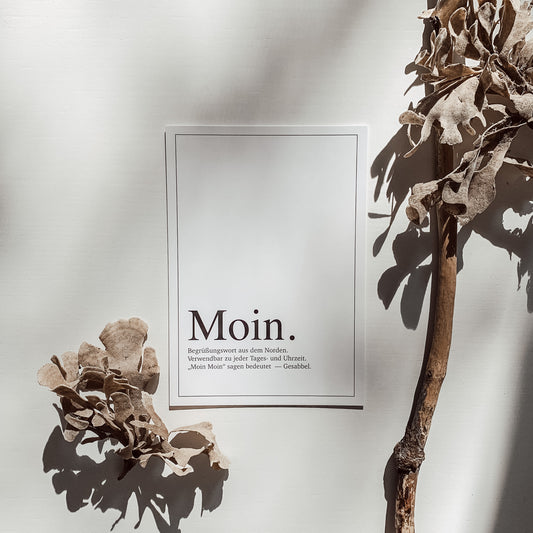 „Moin.“-Postkarte, dekoriert mit einem getrockneten Zweig, auf heller Fläche mit Schattenspiel.