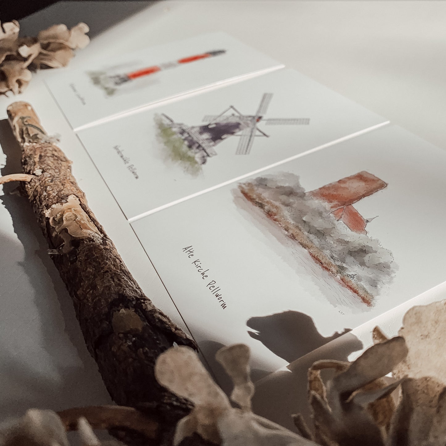 Drei nebeneinander liegende Kunstdrucke mit Aquarellillustrationen norddeutscher Motive – ein rot-weißer Leuchtturm, die Nordermühle Pellworm und die Alte Kirche Pellworm. Die Karten sind leicht schräg angeordnet und werden von einem Stück Treibholz und getrockneten Pflanzen im Vordergrund dekorativ eingerahmt.