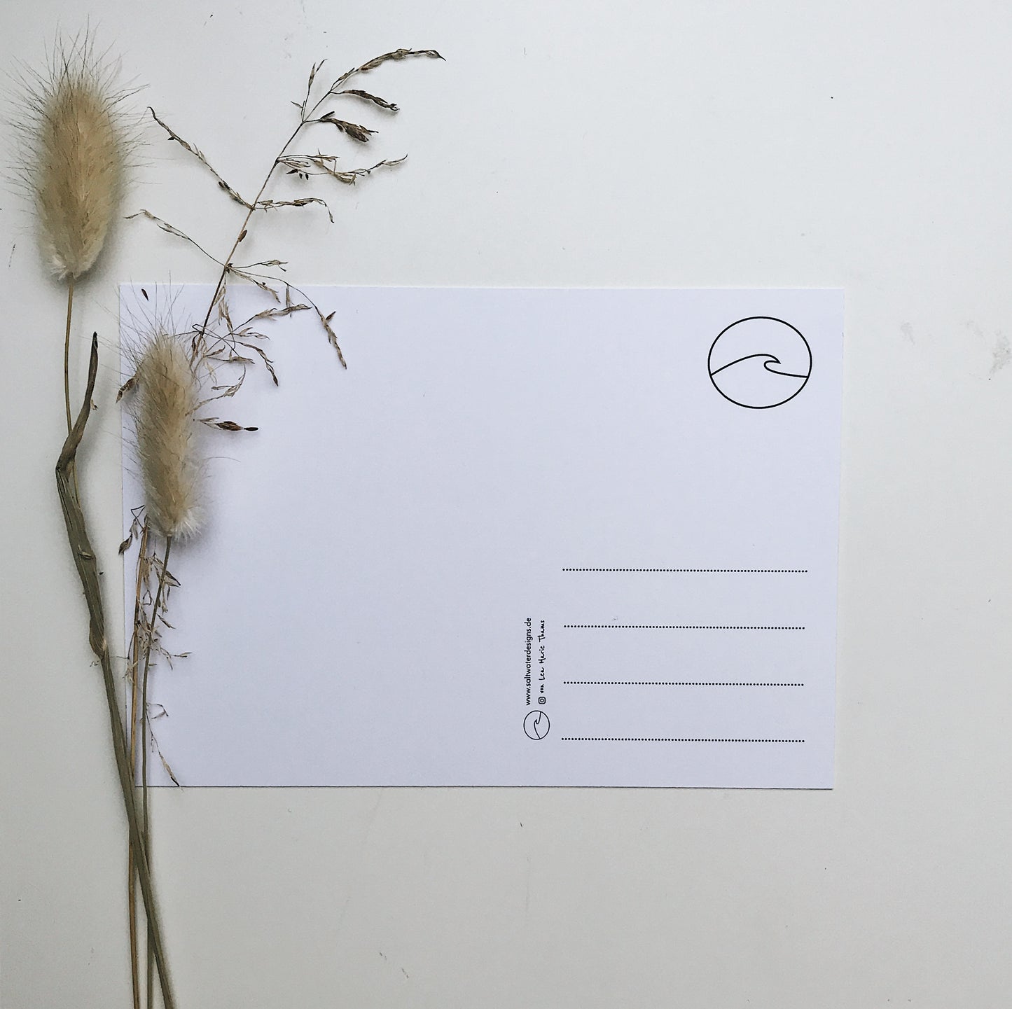 Rückseite einer Postkarte mit minimalistischem Design, Adresszeilen und kleinem Schaf-Icon, dekoriert mit getrockneten Gräsern.