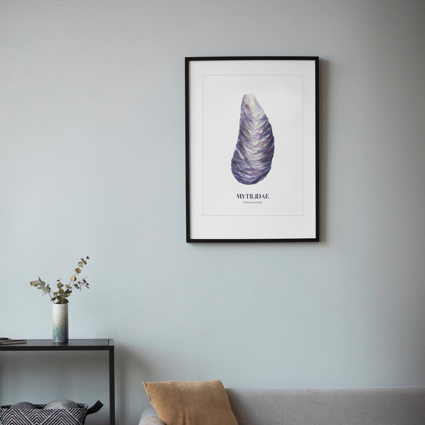 Poster mit Aquarell-Illustration einer Miesmuschel und der Aufschrift 'Mytilidae – Miesmuschel', im schwarzen Rahmen an einer hellgrauen Wand über einem Sofa hängend.