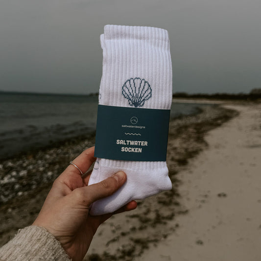 Hand hält gefaltete Saltwater Socken mit Muscheldesign und saltwaterdesigns Banderole, Nordseeküste im Hintergrund. Mit Banderole direkt als Geschenk verpackt.