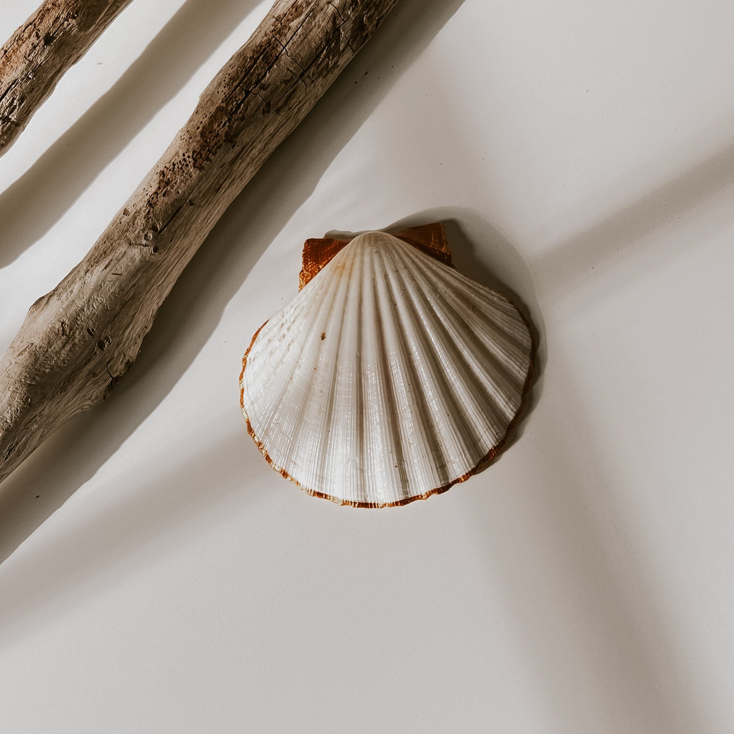 Rückseite der Lobster Schmuckschale, schlichtes weiß mit vergoldetem Rand und das Highlight ist, dass die beiden Kämme oben auch vergoldet sind.