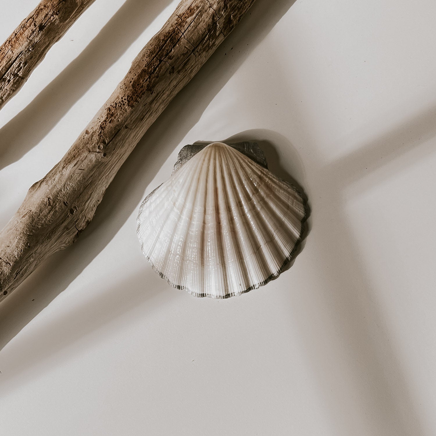 Rückseite der Lobster Schmuckschale, schlichtes weiß mit silberfarbenem Rand und das Highlight ist, dass die beiden Kämme oben auch silber sind.