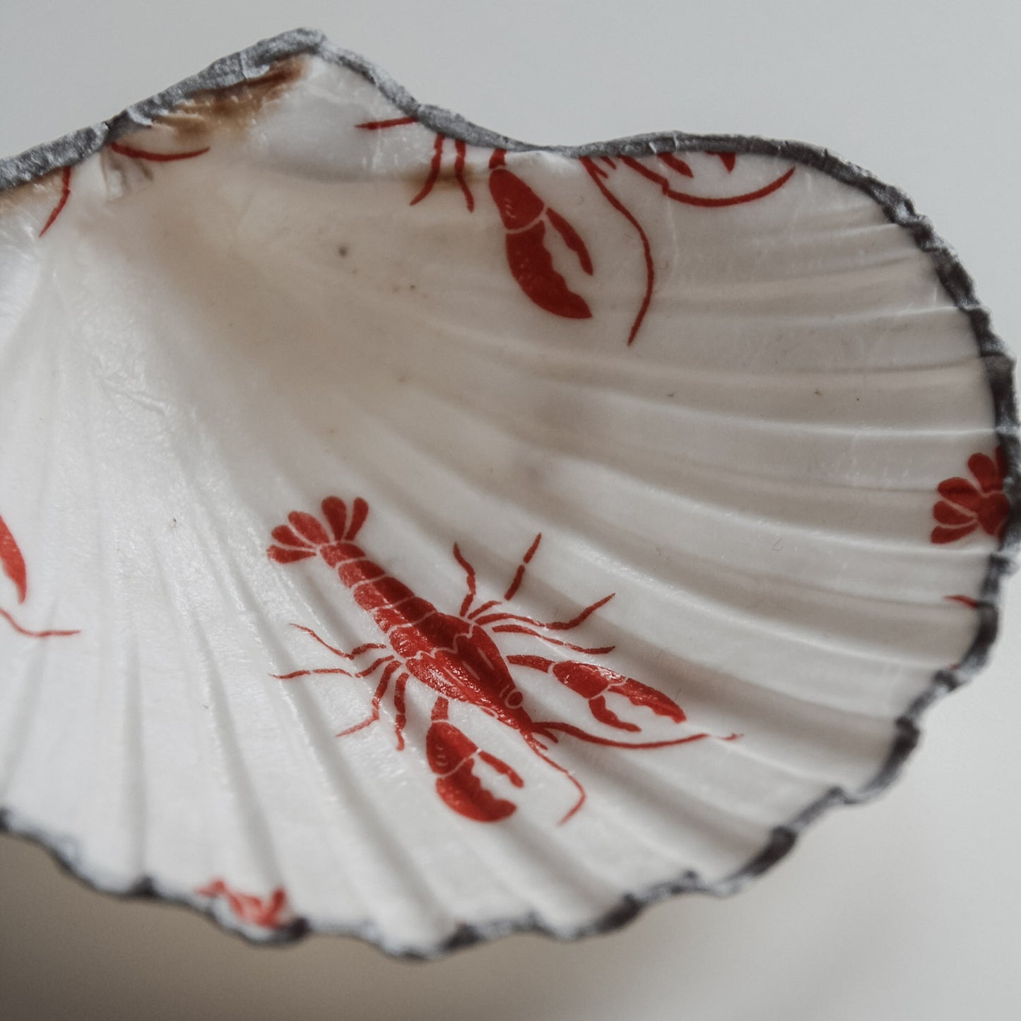 Detailaufnahme der Muschelschale mit rotem Hummer-Print und silberfarbenem Rand von saltwaterdesigns.