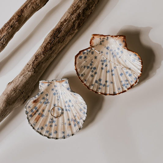 Zwei dekorative Muschelschalen mit blauem Blumen-Design eine mit goldfarbenem Rand, eine mit silberfarbenem Rand, gefüllt mit Schmuck, arrangiert neben Treibholz.
