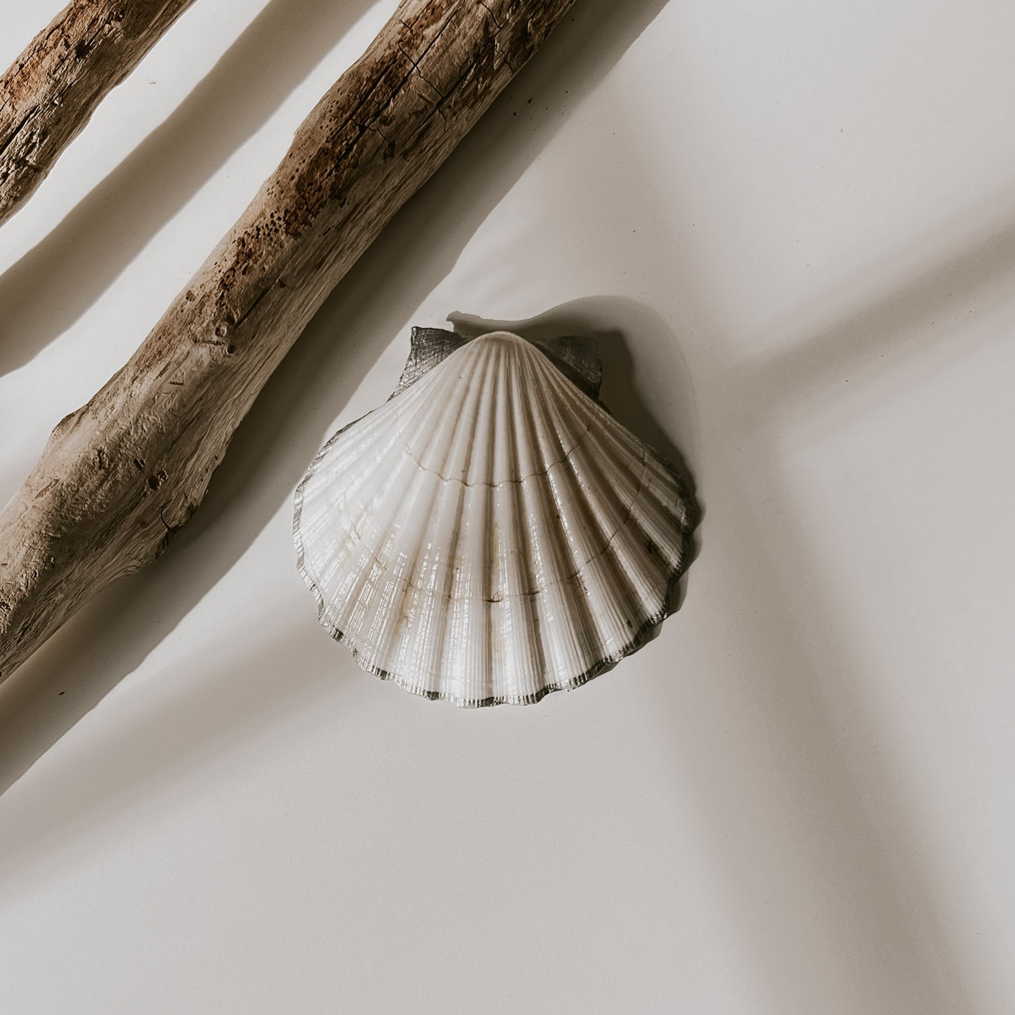 Rückseite der Blomma Schmuckschale, schlichtes weiß mit silberfarbenem Rand und das Highlight ist, dass die beiden Kämme oben auch silber sind.