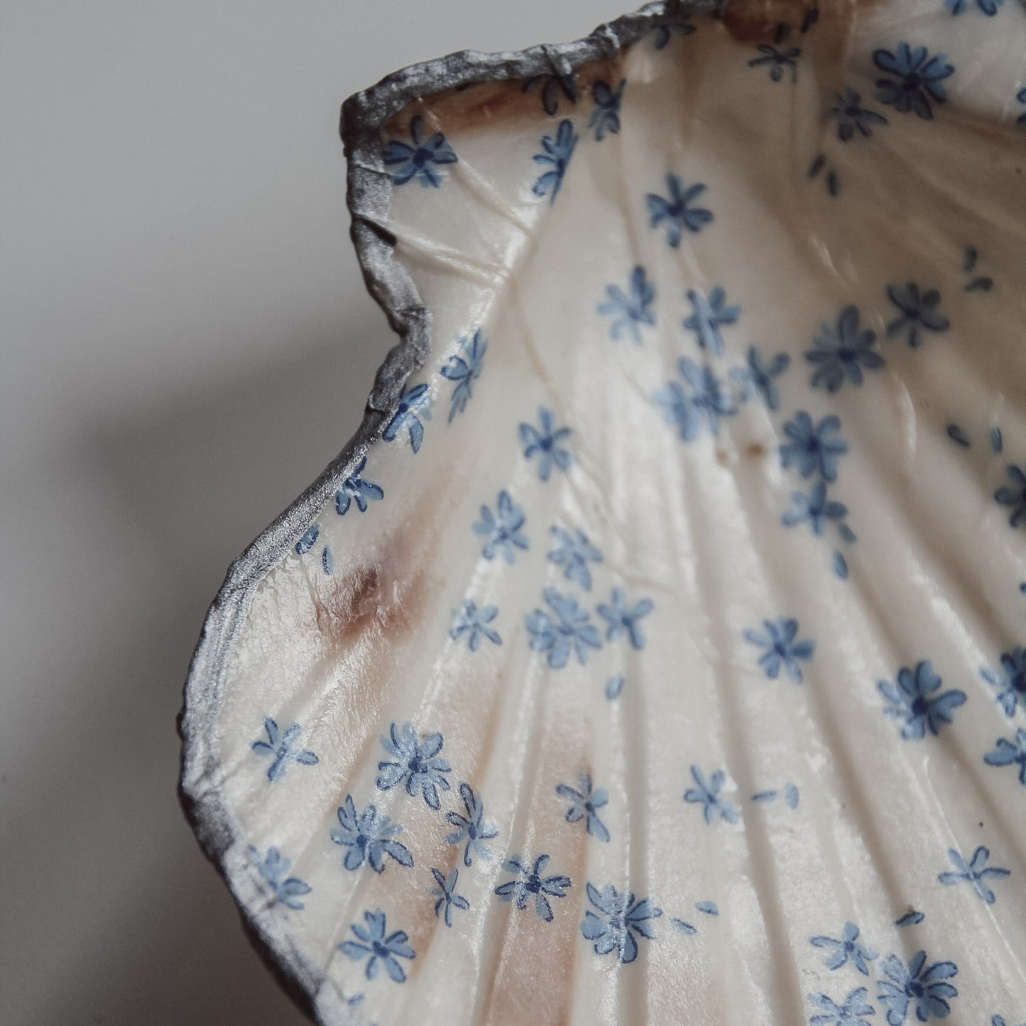 Detailaufnahme der Muschelschale mit blauem Blumen-Print und silberfarbenem Rand von saltwaterdesigns.