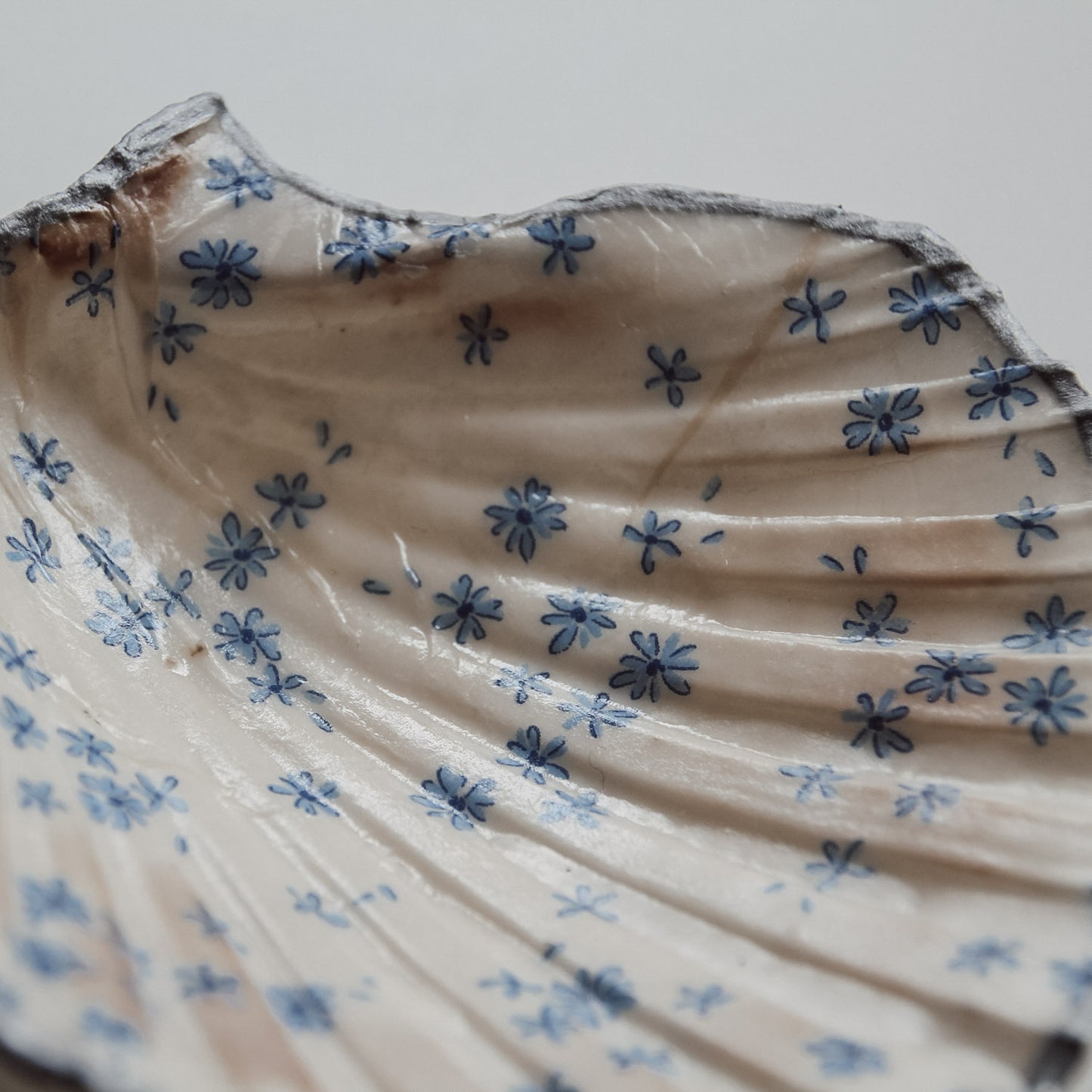 Detailaufnahme der Schmuckschale Blomma mit blauem Blumen-Print und silberfarbenem Rand von saltwaterdesigns.